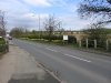daffodils-on-stapleford-road-planted-by-the-trowell-parish-councillors