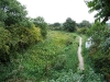 Nottm Canal foothpath