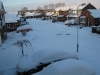 December 2010 Trowell Park