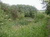 Nottm Canal wildlife area