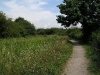 Footpath